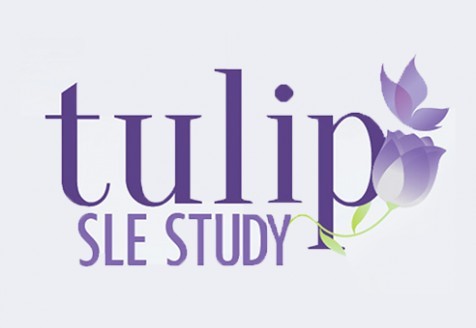Tulip SLE study