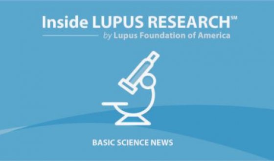 Potential New Diagnostic and Disease Monitoring Biomarker for Systemic Lupus Erythematosus Found in B Cells 