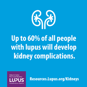 Lupus and Kidneys