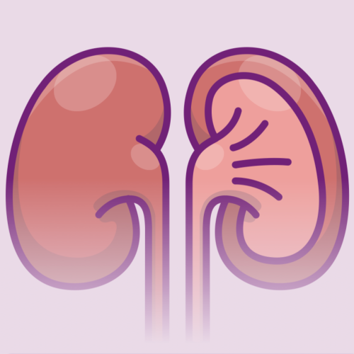 Infographic: All About Lupus Nephritis