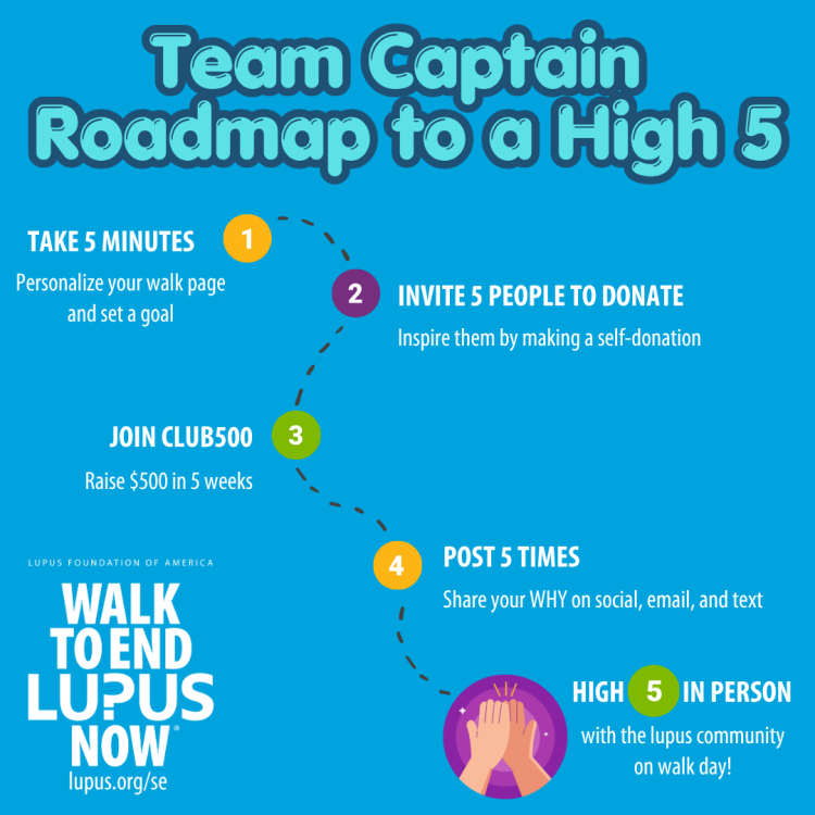 Team Captain Roadmap SE