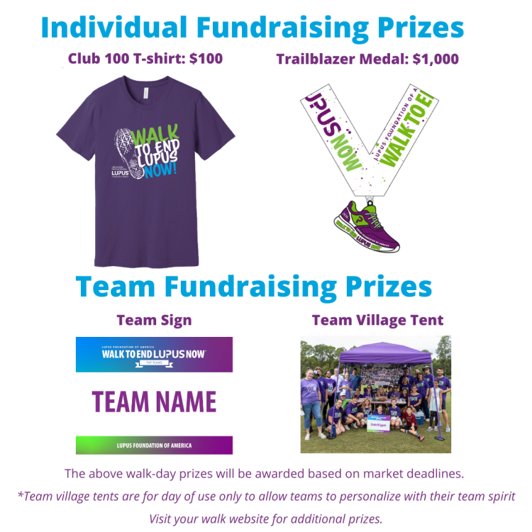 SE Incentives