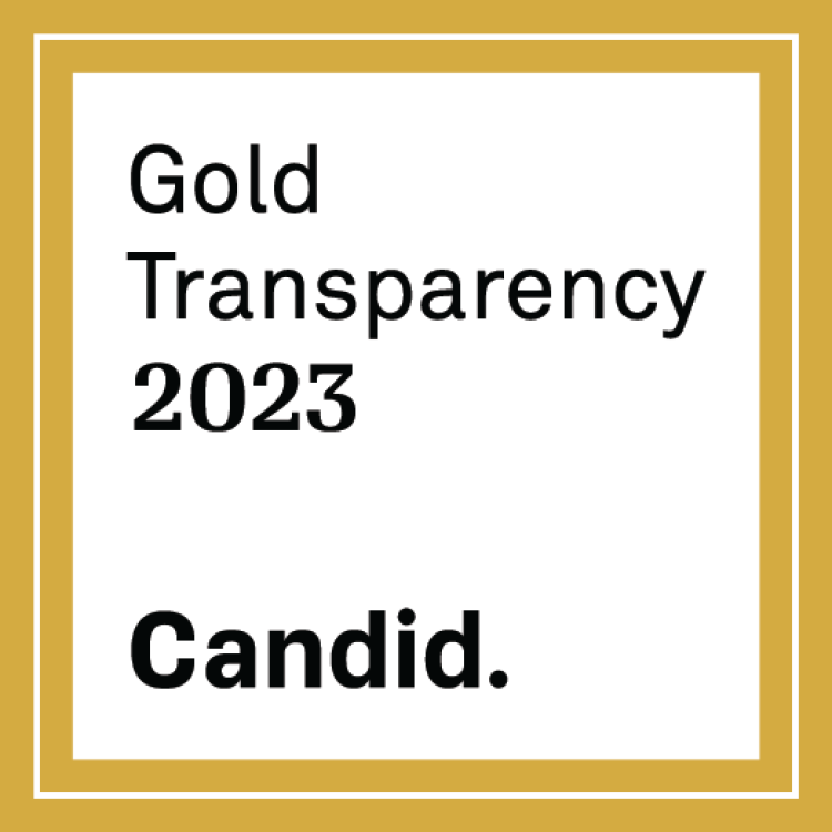 gold transparency 2023 from Candid