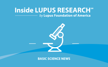 Inside Lupus Research by Lupus Foundation of America, Basic Science News
