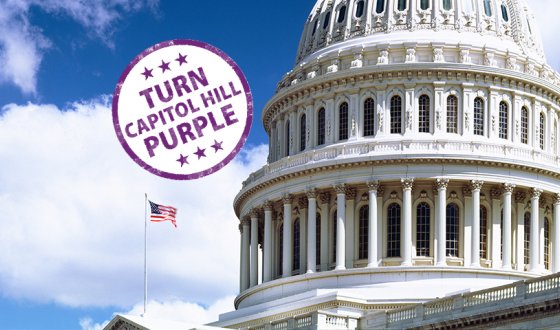 2026 National Lupus Advocacy Summit