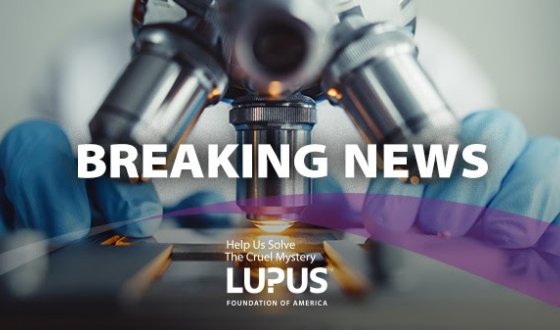 Lupus Foundation of America Celebrates FDA Approval of Saphnelo™ (Anifrolumab-fnia) as a New Treatment for Lupus